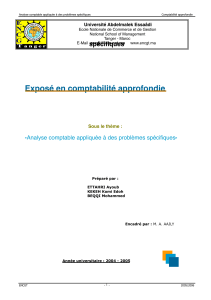 Analyse comptable appliquee a des proble