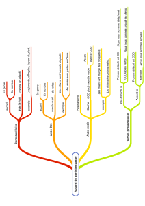 carte-simplifiée-accord-participe-passé