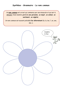 Synthèse le nom