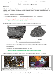 Chapitre-4-les-roches-magmatiques