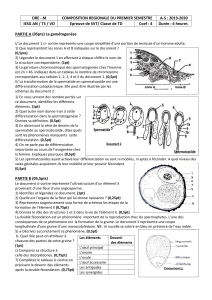 Compo région Maritime 1èr Semestre 2019