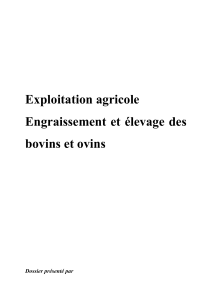 240297814-Etude-Exploitation-Agricole-Engraissement-Et-Elevage-Des-Bovins-Et-Ovins