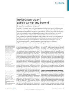 Helicobacter pylori:  gastric cancer and beyond