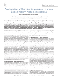 Coadaptation of Helicobacter pylori and humans:  ancient history, modern implications