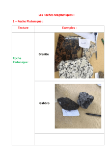 Les Roches Magmatiques 