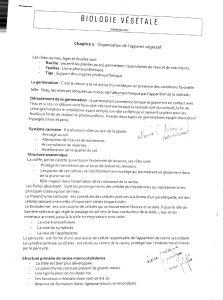 Bio végétale résumé chapitre 2