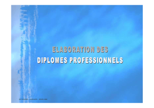Microsoft PowerPoint - elaboration diplome br mps