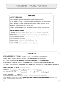 fiches Brevet grammaire