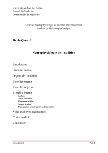 8- neurophysiologie de laudition