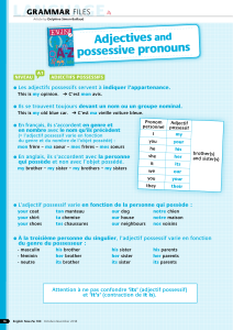 Adjectives and possessive pronouns