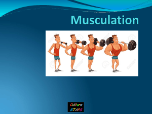 CM Musculation L2 2021