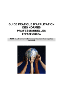 OHADA-Guide-pratique-dapplication-des-normes-professionnelles-TOME-2