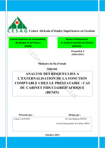 Analyse des risques d'externalisation comptable : &Eacute;tude de cas FIDAF