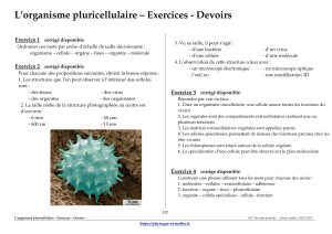 organisme pluricellulaire exercices