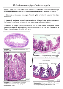 0 TP microscopie intestinal guide de séance