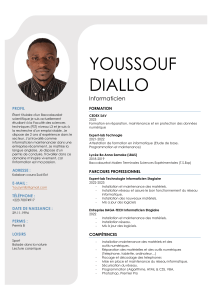 Youssouf Diallo cv