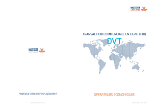 Brochure+sur+le+Dossier+Virtuel+de+Transaction+Commerciale+(FDI)+-+Opérateurs+Economiques (1)