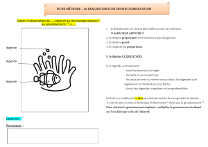 Fiche méthode dessin observation