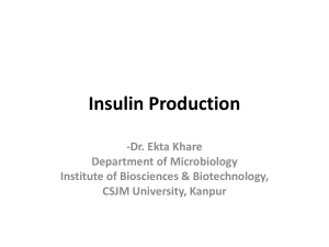 Insulin-Production slide