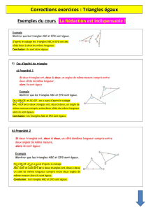la correction exercices triangles e s final