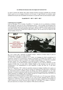 Les attributs de chasseurs dans les insignes de l’armée de l’air 1