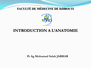 0-Introduction à l'anatomie