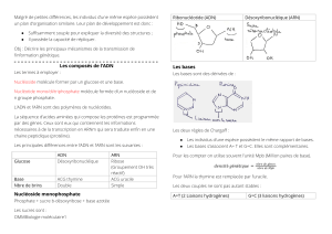 memento-biologie-moleculaire.docx