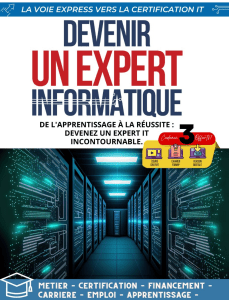 Livre Formip-pdf-devenir-un-expert-it-zip