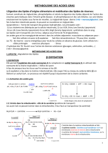 METABOLISME DES ACIDES GRAS