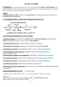 LE CYCLE DE KREBS