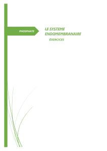 7-PHOSPHATE LE SYSTEME ENDOMEMBRANAIRE (EXERCICES)