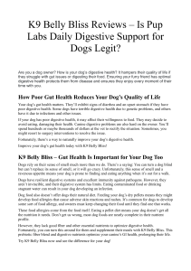 K9 Belly Bliss Reviews  Is Pup Labs Daily Digestive Support for Dogs Legit
