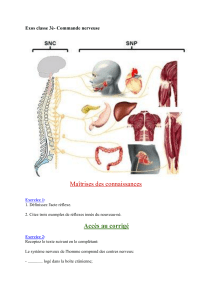 Le-systeme-nerveux-Serie-d-exercices-PDF-18