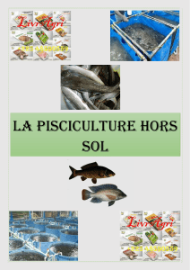 Guide Pisciculture Hors Sol