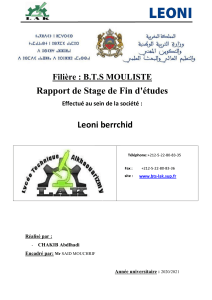 rapport de stage (chakib abdlhadi)