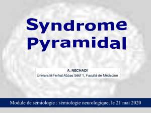 21.05.syndrome pyramidal