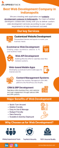 best web development company in indianapolis (2)