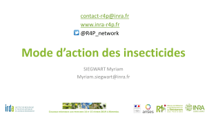 06a-mode d action insecticides