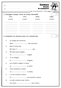 DYS-CONJUGAISON-v2