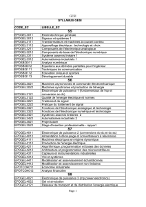 SYLLABUS GESI ENSPD