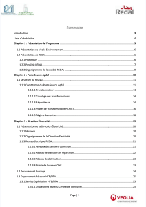 Rapport de Stage : Réseaux Électriques HTB/HTA et Poste Source