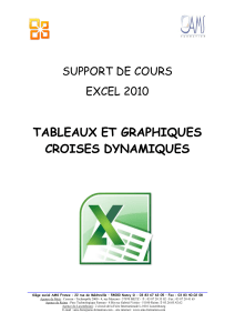 Tableaux-et-Graphiques-Croisés-Dynamiques-2010