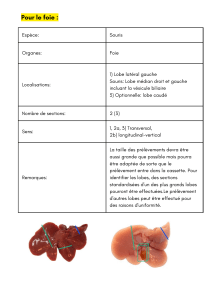 Rapport Histologie 