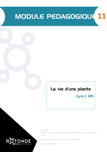 La-vie-dune-plante