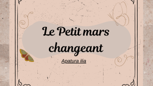 Le Petit mars changeant Présentation