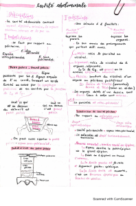 1.cavité et paroi abdominale antero latera (1)