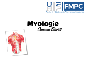 Myologie - Oussama Essahili