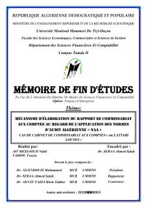 memoire final