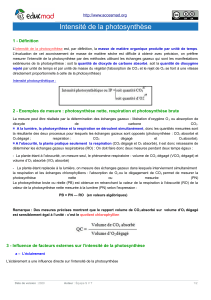 Intensité de la photosynthèse-1