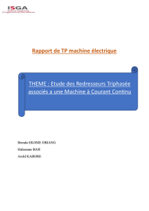 Rapport TP Redresseurs Triphasés & Machines CC